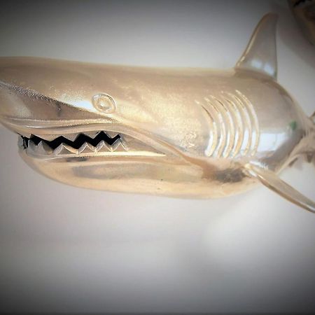 Ferienhaus "Zum Haifisch" 장크트 피터 오르딩 외부 사진
